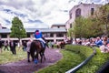 Racecourse - Keeneland Royalty Free Stock Photo