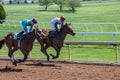 Racecourse - Keeneland Royalty Free Stock Photo