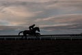 Racecourse - Keeneland - Silhouette Royalty Free Stock Photo