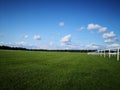 Racecourse, York, North Yorkshire, Summer 2019 Royalty Free Stock Photo