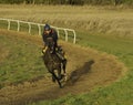 Racehorse on the gallops in Shropshire
