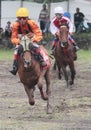 Racehorse rider collided speed in traditional horse