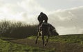 Racehorses on the gallops in Shropshire