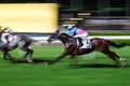 Horses ridden by jockeys running fast during the race. Striving to victory. Motion blurred, toned horizontal image.