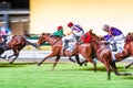 Horses ridden by jockeys running fast during the race. Striving to victory. Motion blurred, toned horizontal image.