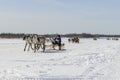 Races on reindeer sled in the Reindeer Herder's Day on Yamal