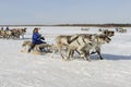 Races on reindeer sled in the Reindeer Herder's Day on Yamal