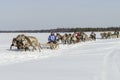 Races on reindeer sled in the Reindeer Herder's Day on Yamal