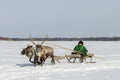 Races on reindeer sled in the Reindeer Herder's Day on Yamal