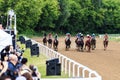 Racetrack horse racing jockey approaching the finish line, sports with horses