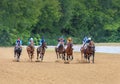 Racetrack horse racing jockey approaching the finish line, sports with horses,