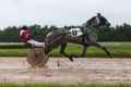 Racetrack horse racing jockey approaching the finish line, sports with horses