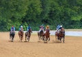 Racetrack horse racing jockey approaching the finish line, sports with horses