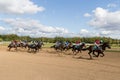 Racetrack horse racing jockey approaching the finish line, sports with horses