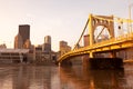 Rachel Carson Bridge over the Allegheny River downtown city skyline of Pittsburgh Royalty Free Stock Photo