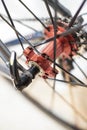 Racing bicycle chrome rear axle on carbon fiber wheel