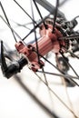 Racing bicycle red rear axle and gears
