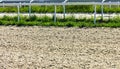 A racing circle made of sand for horse racing