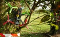 Racing drone crash on tree Royalty Free Stock Photo