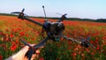 Racing drone on Poppy field on a summer sunset