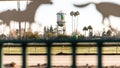 Racing field at Alameda County Fairground