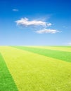 Racing field under sky Royalty Free Stock Photo
