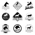 Racing horse, running mare vector vintage logos and labels set