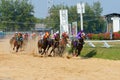 racing horses starting a race