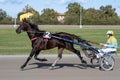 Racing horses trots and rider on a track of stadium. Competitions for trotting horse racing. Horses compete in harness racing.