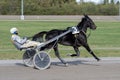 Racing horses trots and rider on a track of stadium. Competitions for trotting horse racing. Horses compete in harness racing.