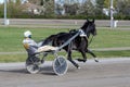 Racing horses trots and rider on a track of stadium. Competitions for trotting horse racing. Horses compete in harness racing.