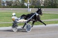 Racing horses trots and rider on a track of stadium. Competitions for trotting horse racing. Horses compete in harness racing.