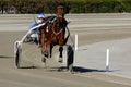 Racing horses trots on the track of stadium trotting horse racing competition