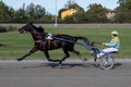 Racing horses trots and rider on a track of stadium. Competitions for trotting horse racing. Horses compete in harness racing.