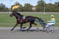 Racing horses trots and rider on a track of stadium. Competitions for trotting horse racing. Horses compete in harness racing.