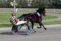 Racing horses trots and rider on a track of stadium. Competitions for trotting horse racing. Horses compete in harness racing.