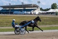 Racing horses trots and rider on a track of stadium. Competitions for trotting horse racing.