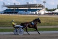 Racing horses trots and rider on a track of stadium. Competitions for trotting horse racing.