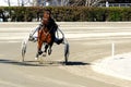 Racing horses trots on the track of stadium trotting horse racing competition