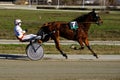 Racing horses trots on the track of stadium trotting horse racing competition