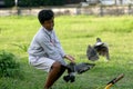 Racing pigeons