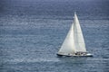 Racing Sloop in the Caribbean Royalty Free Stock Photo