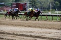 Racing to the finish line,Saratoga Race Track,New York,2015