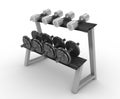 Rack with dumbbells