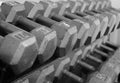 Rack of Free Weight Dumbells