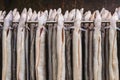 Rack with fresh smoked eel in The Netherlands Royalty Free Stock Photo
