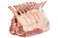 Rack of Lamb Royalty Free Stock Photo