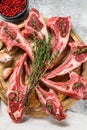 Rack of lamb , raw meat with bone, chops with salt, pepper. Gray background. Top view Royalty Free Stock Photo