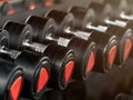 Rack with many different sizes of dumbbells in the gym Royalty Free Stock Photo