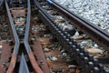 Cog railway tracks with an additional toothed rack located in the middle of the track to overcome large tilts.